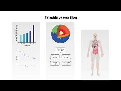 Vector Files - What are vectors, and how should they be saved?