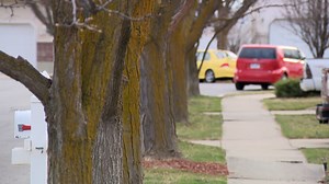 Layton residents push back on tree removal plan amid safety and cost concerns - KSLTV.com