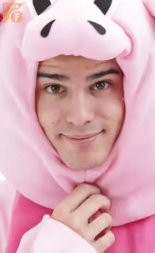 🐷Pig Costume - Made By Funidelia