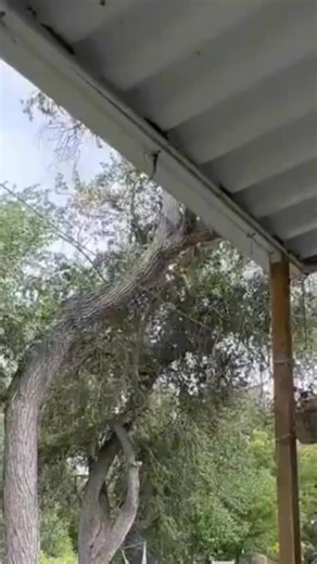 BREAKING: The locality turned into darkness, homes submerged, and lives disrupted. The power of nature is a reminder of our vulnerability. Stay safe, everyone! 🌪️💧 Flash flood destroyed, Heavy rainfall causes severe flooding! The locality turned into rivers, homes submerged, and lives disrupted. The power of nature is a reminder of our vulnerability. Stay safe, everyone! 🌪️💧 #FloodAlert #HeavyRain #NaturalDisaster #StaySafe #WeatherUpdate #FloodRelief #EmergencyResponse #FloodAlert #HeavyRai