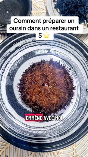 Préparation d’un oursin pour un restaurant parisien 5 étoiles #oursin #luxe #restaurant #cuisine