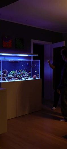 When your best friend is also into reefing 🤌🏽🪸 #reef #friendship #coral #aquarium #fy