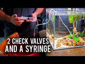 DIY Aquarium Hacks You Haven't Seen Before