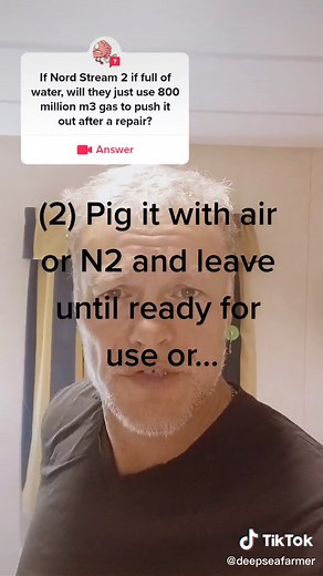 #answer to @hersenscheet #pigging #pipeline #nordstream2 #fyp #offshore #leaking #russia #oilandgas #baltic