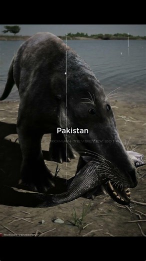 Extinct Creatures That Once Dominated Your Country PT-5 #fypage #shorts #extinct