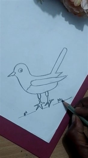 , easy drawing of magpie bird #magpie #drawing #ronglekhaart