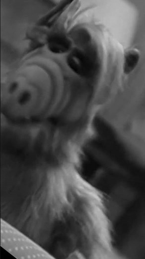 Clearly ALF wouldn't last long in a scary movie 🫣