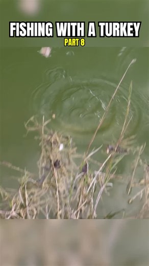 RawwFishing on Instagram: "Fishing with a turkey… part 8 of 12!"