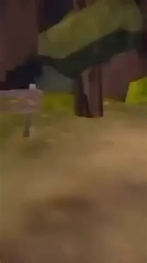 404.memes.not.found on Instagram: "日本利用压电瓷砖将脚步转化为电能。这些瓷砖捕捉来自你脚步的动能。当你行走时，你的重量和动作会对瓷砖产生压力。瓷砖会轻微弯曲，从而产生机械应力。瓷砖内部的压电材料将这种应力转化为电能。每一步都会产生少量电荷，而数百万步结合在一起就能产生足够的电力来驱动LED 灯、数字显示屏和传感器。在像涩谷车站这样繁忙的地方，每天大约有 240万个脚步为这一系统作出贡献。这些电能可以被储存或立即使用，从而减少对传统电力来源的依赖，并支持可持续的城市基础设施。这种方法将日常运动转化为实用的可再生能源 ＃日本#知识#事实#你知道吗 #推荐 #科技 ＃创新＃历史 技术实验 热门"