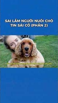 12 Sai Lầm Mà 90% Người Nuôi Chó Vẫn Tin Sái Cổ (Phần 2) | Bác Sĩ Trung