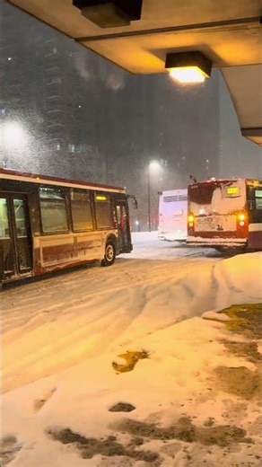 Ttc buses stuck at Kipling