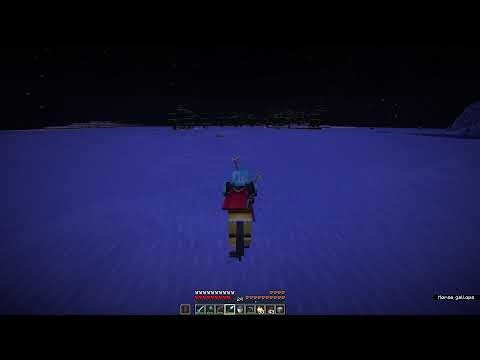Minecraft 1.21.11 SMP (Java) IP in desc