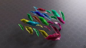 How to Generate Random Values With Octane in Cinema 4D