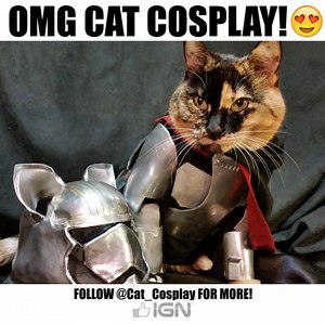 We've never seen a more purrfect cosplay! | IGN