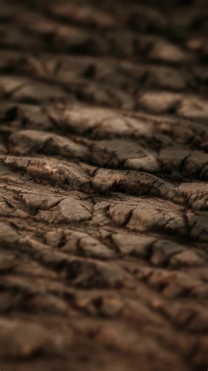 Probando una de las nuevas características de la nueva actualización de @D5 Render. #d5 #d5render #renders #3d #rendertips