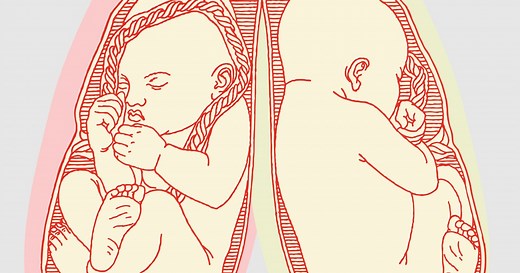 This Is How Many Babies Can Actually Fit In A Human Womb