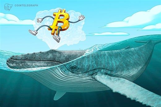 $11B Bitcoin Whale Returns After 2 Months, Transfers $360M BTC