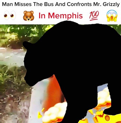 confronting mr grizzly in MEMPHIS 😱😱🤯🤯🧐🧐 #fyp #hoodirony #meme #memphis #funny