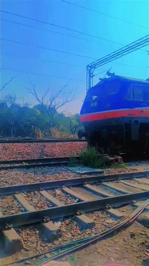 WDG 4 locomotive to locomotive attach container coaches going to Delhi Sarai Rohilla #trending#viral