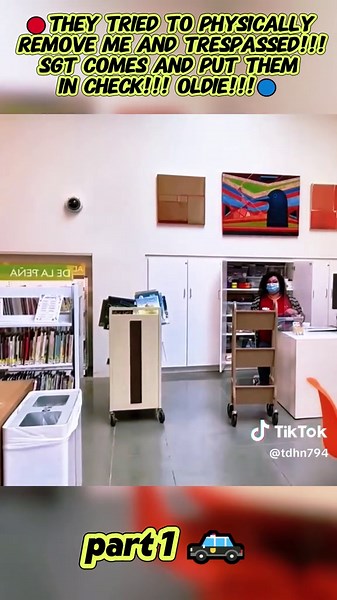 Police Audits: Insights from the Field