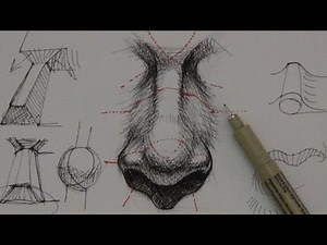 Pen & Ink Drawing Tutorials | How to draw a realistic nose