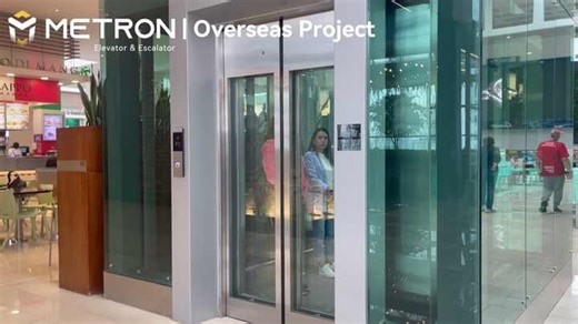Panoramic Lift Glass Passenger Elevator with Steel Structure Shaft
