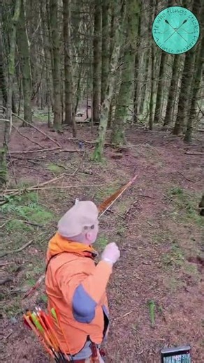 field archery, down hill Stegosaurus #3darchery #asiaticarchery #thumbdrawarchery