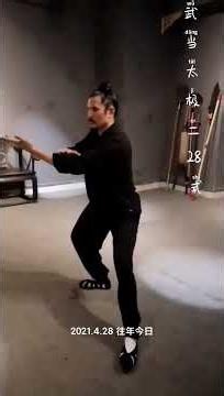 Wudang Tai Chi 28 Forms #taichi #martialarts #kungfu