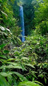 Name One Of Your Favorite Waterfalls In Jamaica ‼️ 📍One Drop / Cascade Waterfall , Cascade, Portland, Jamaica [ 📸 Via: @ktaylor_abn ] New To The Page ? Follow Us @Portland876 & Turn On Post Notifications 🔔 To Stay Updated With All Our Latest Travel Post About Portland, Jamaica, The Beautiful Parish Situated On The North Eastern Side Of Jamaica‼️ | Portland Jamaica