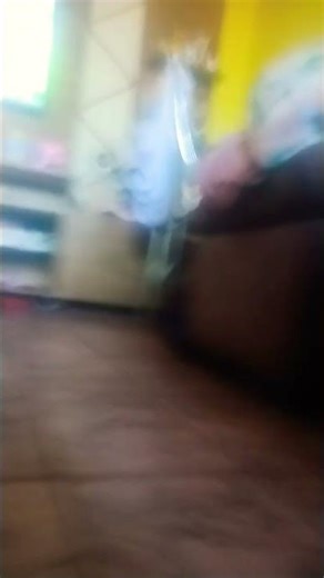 11 de janeiro de 2026