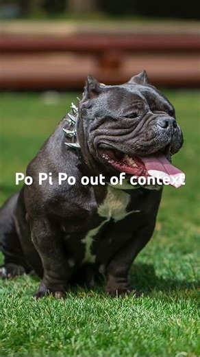 Po Pi Po out of context meme