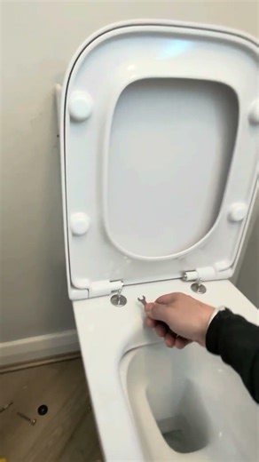 Toilet seat installation is it plumbing ? #plumbing #diyplumbing #plumber #howto