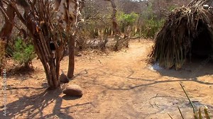 Maasai hut made from shrubs and twigs in Africa in Kenya