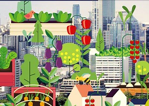 Urban Agriculture’s Potential to Advance Multiple Sustainability Goals | Resource Panel