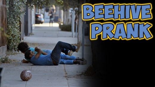 Beehive Prank