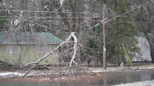 Safety experts warn of downed power line dangers after storms