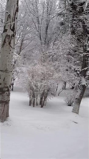 #dzmer #milas_kitchen #snow #armenia