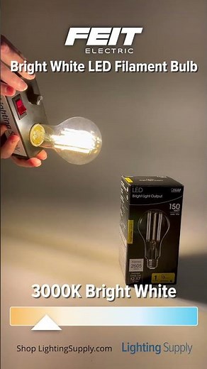 Feit Electric Bright White Filament LED (OM150DM/CL/830/FIL) #youtubeshorts #ledlights @feitelectric