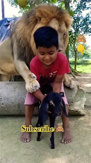 #fyp #status #lion #fypviral #trending #viral