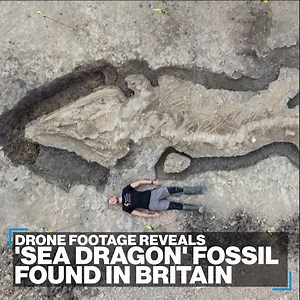 2.9M views · 18K reactions | DRAGON'S EYE VIEW: Drone footage provides a remarkable perspective on a 180 million year-old Ichthyosaurs fossil, also known as a sea dragon, unearthed in England. https://abcnews.go.com/Live | ABC News | Facebook