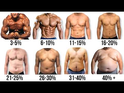 Every Body Fat % Explained