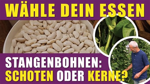 Prunkbohnen einfach anbauen – für knackige Schoten & Bohnenkerne | Aussaat, Ernte & No-dig-Tipps