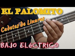 Cómo tocar El PALOMITO en Bajo Eléctrico / Tutorial Cadetes de Linares Para Principiantes