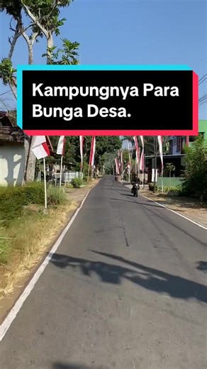 Kata Nenek Moyang: Tempat Para Bunga Berkumpul