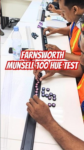 Farnsworth Munsell 100 Hue Test #bodyrepair #carpainting #colormatching #viralvideo