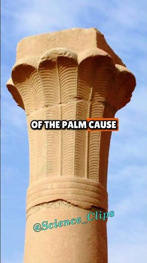 The Most Impressive Ancient Egyptian Artifact Ever Discovered