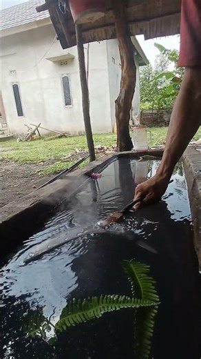 steel galvanizing process #blacksmith #art #highlights #dance