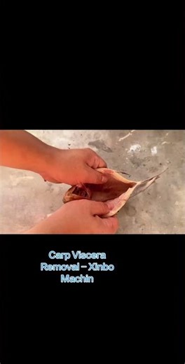 #Aquatic Product Processing #fishfilleting #fish #factoryproducts