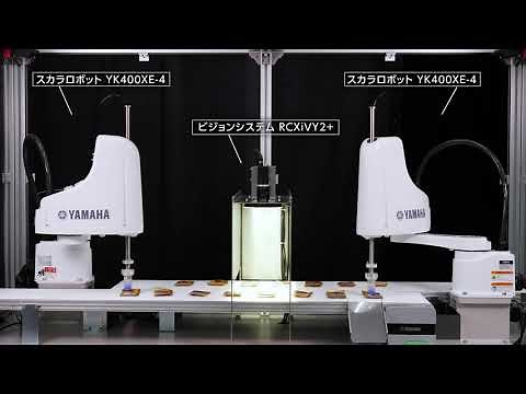 【食品・衣料品業界の省人化】ロボットビジョン「RCXiVY2+」×スカラ（ヤマハ発動機）