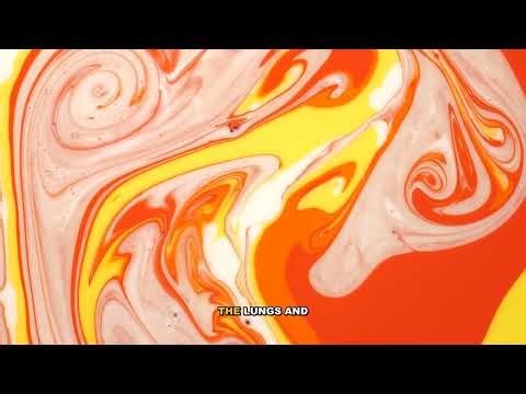 Complete Guide to Congestive Heart Failure - Understanding the Impact